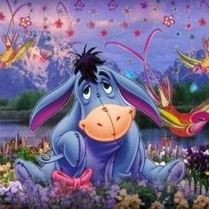 Meet your Posher, Anne